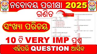 Navodaya vidyalaya entrance 2025  navodaya vidyalaya entrance exam 2025 class 6  number system [upl. by Nilrev]