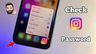 How to see your Instagram Password in any iPhone [upl. by Petronille272]