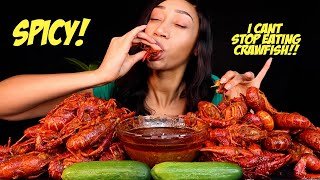 Mukbang  SPICY LOUISIANA CRAWFISH BOIL 🦀🦀  How To Eat Crawfish [upl. by Hazrit]