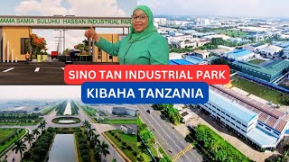 Why Tanzania is Building The Largest Industrial Park in Africa [upl. by Conias]