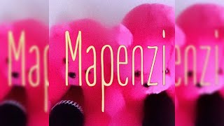 Hansy Boy  Mapenzi Singeli Music IkMzikiCom [upl. by Laamaj]