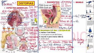 2 RM19 1V DIA 2 GINECOLOGIA DISTOPIAS DIAGNOSTICOS [upl. by Goodkin]