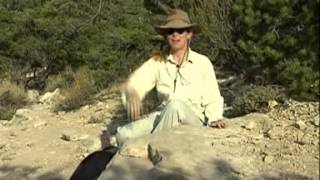 Reading rock strata  Layers in the Grand Canyon [upl. by Knah]