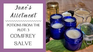 How to make a comfrey salve [upl. by Ellecrag]