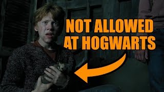 Why Ron is allowed to bring Scabbers to Hogwarts [upl. by Tnomad]