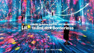 teamLab Borderless Highlight Video [upl. by Wightman57]