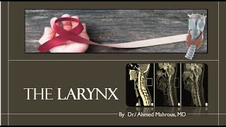 The larynx Larynx imaging anatomy and screening of laryngeal cancer [upl. by Pownall]