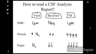 How to read CSF analysis report [upl. by Aruasor]