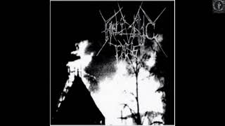 Hellvetic Frost  Elitism of Times Forgotten Full Demo 2003 [upl. by Jose]