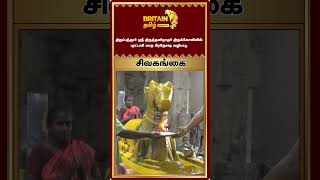 சிவகங்கை  திருப்பத்தூர் அருள்மிகு ஶ்ரீ திருத்தளிநாதர் திருக்கோவிலில் புரட்டாசி மாத பிரதோஷ வழிபாடு [upl. by Sucramej]