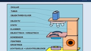 Lichtmikroskop Aufbau amp Funktion  mit Erklärungen [upl. by Yruy700]