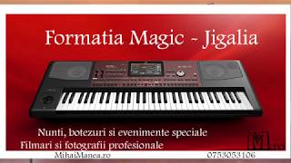 Formatia Magic  Lacrimile mele [upl. by Art673]