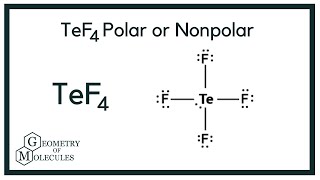 TeF4 Polar or Nonpolar Tellurium Tetrafluoride [upl. by Bogoch]