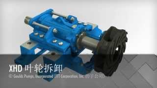 Goulds XHD Pump Impeller Removal Animation Chinese Translation [upl. by Giordano]