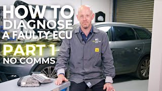 How To Diagnose A Faulty ECU With No Communication [upl. by Dorey]