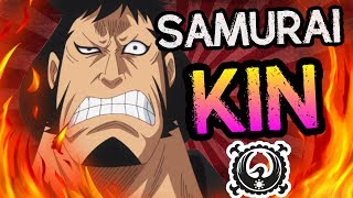 Samurai Kinemon The quotFox Firequot  One Piece Discussion  Tekking101 [upl. by Leblanc]