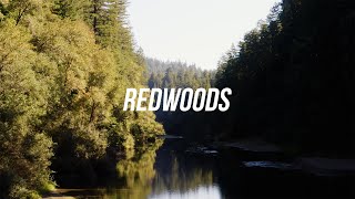 Humboldt Redwoods State Park  4K Drone Video [upl. by Oisacin]