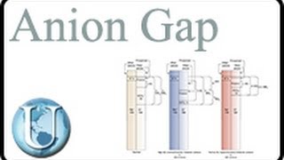 Anion Gap y su relacion con pH electrolitos y trastornos acido base [upl. by Placido]