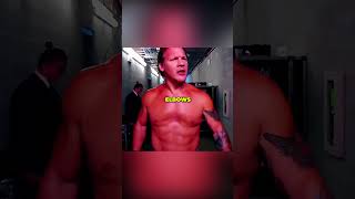 Chris Jericho amp Brock Lesnars Beef Backstage [upl. by Gadmon]