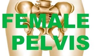 Female Bony Pelvis Types  In relation to CHILDBEARING [upl. by Kalli290]