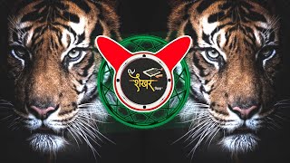 Tiger Dhun Dj Song Tapori Benazir Bhutto Mix [upl. by Kippar]