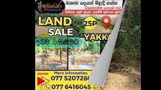 යක්කලට ආසන්නයෙන් ඉඩමක් විකිණීමට adaberalkඅඩබෙර land landsell [upl. by Ssej]