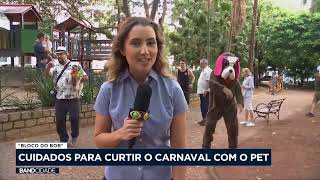 Veja cuidados para curtir o Carnaval com o pet [upl. by Kiele]