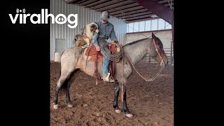 Dog Jumps on Horses Back for a Ride  ViralHog [upl. by Chadbourne190]