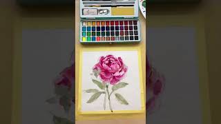 How to Paint Watercolor Peonies [upl. by Kal]