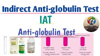 Indirect Antiglobulin Test in hindi ll Coombs Test ll Antiglobulin Test [upl. by Yecnay]