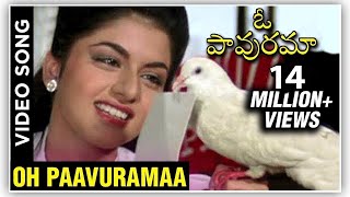 Oh Paavuramaa Video Song  Prema Paavuraalu Maine Pyar Kiya  Salman Khan  Bhagyashree [upl. by Ahsirtap]