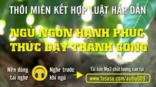 Thôi miên ngủ ngon kết hợp luật hấp dẫn hạnh phúc thành công  Fususu Audio  The Wonder Sleep [upl. by Rosenfeld669]