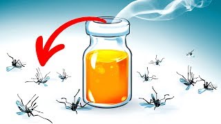 15 Maneiras Naturais de Se livrar dos Mosquitos No Quintal [upl. by Haisa]