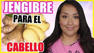 JENGIBRE para el CABELLO  BENEFICIOS  Nadia Elias [upl. by Oiretule]