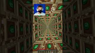 Watch till the end 219 minecraft [upl. by Enaj]