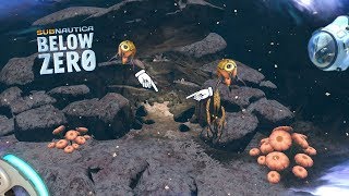 Yellow Trivalve Egg Location Subnautica Below Zero [upl. by Relyhcs413]