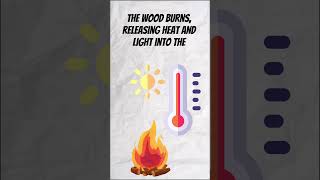 Exothermic and Endothermic Reactions chemistry learning science [upl. by Airebma]