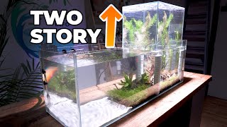 I made a TWO STORY fish tank [upl. by Shel]