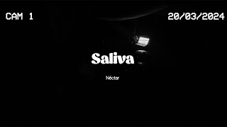 Néctar  Saliva videoclip [upl. by Thgirw]