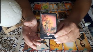 O que posso esperar dele a nesta semana Vai me procurar TAROT INTERATIVO [upl. by Collie62]