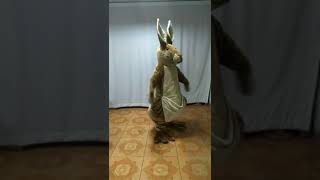 kangaroo mascot costume [upl. by Bruce]