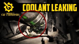 Coolant Leaking From Hose  How to Fix Antifreeze Hose Leak [upl. by Arries880]