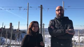 Quazzolo Winery in Barbaresco [upl. by Nykal]