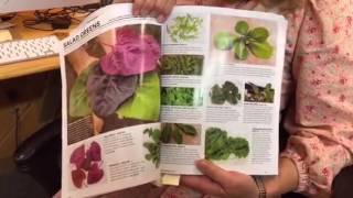 Whats in the Whole Seed catalog this year [upl. by Tisha534]