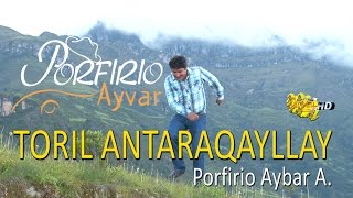 Porfirio Ayvar Toril Antaraqayllay  video clip oficial  Tarpuy Producciones [upl. by Tempest]