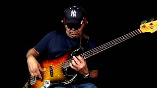 Bireli Lagrene  Sunny Fretless Bass Jazz Solo [upl. by Ekud]