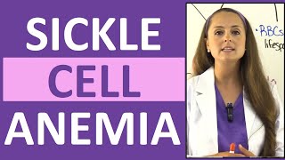 Sickle Cell Anemia Nursing  Symptoms Pathophysiology Sickle Cell Crisis amp Trait [upl. by Barr]