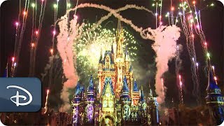 Happily Ever After Fireworks at Magic Kingdom  Walt Disney World [upl. by Nirrej]