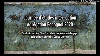 Sandra Assunção Amor et O Búfalo expérience du langage épiphanies de lêtre chez Clarice Lispector [upl. by Trotta407]