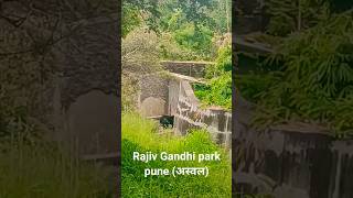 Rajiv Gandhi Zoological park pune pune bear [upl. by Nwahsud]